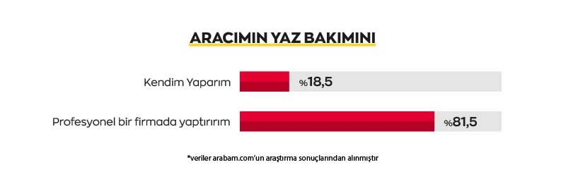 aracimin-yaz-bakimini
