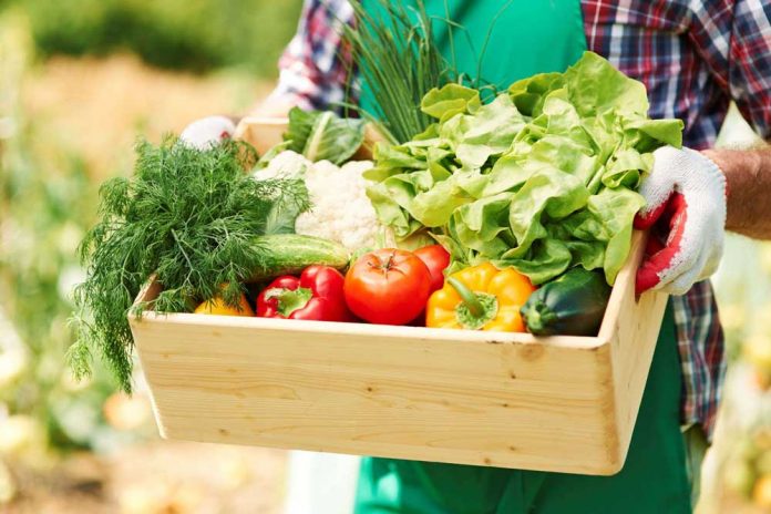 close_up_box_with_vegetables_hands_mature_man_1 close_up_box_with_vegetables_hands_mature_man