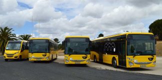 iveco-P4_models